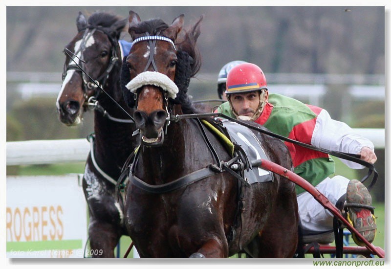 Bratislava - 05. aprla 2009 