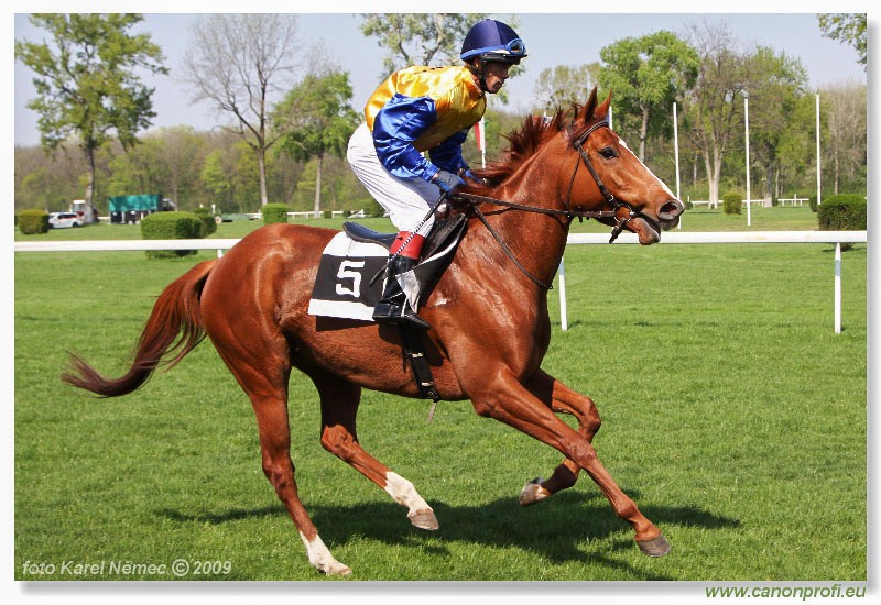 Bratislava - 12. aprla 2009 