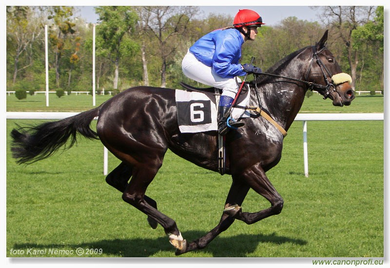 Bratislava - 12. aprla 2009 