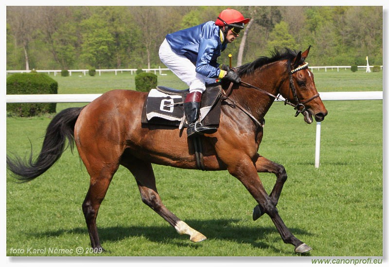 Bratislava - 12. aprla 2009 