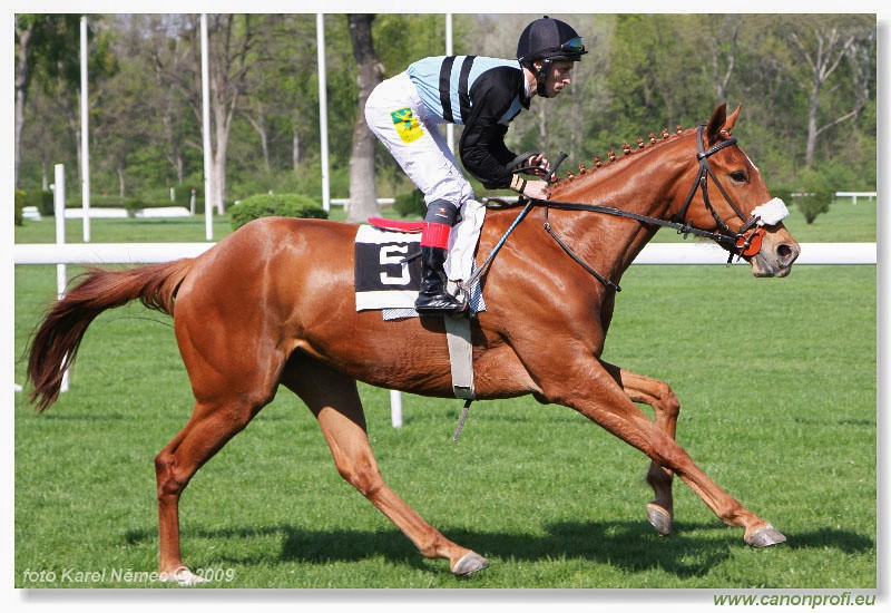 Bratislava - 12. aprla 2009 