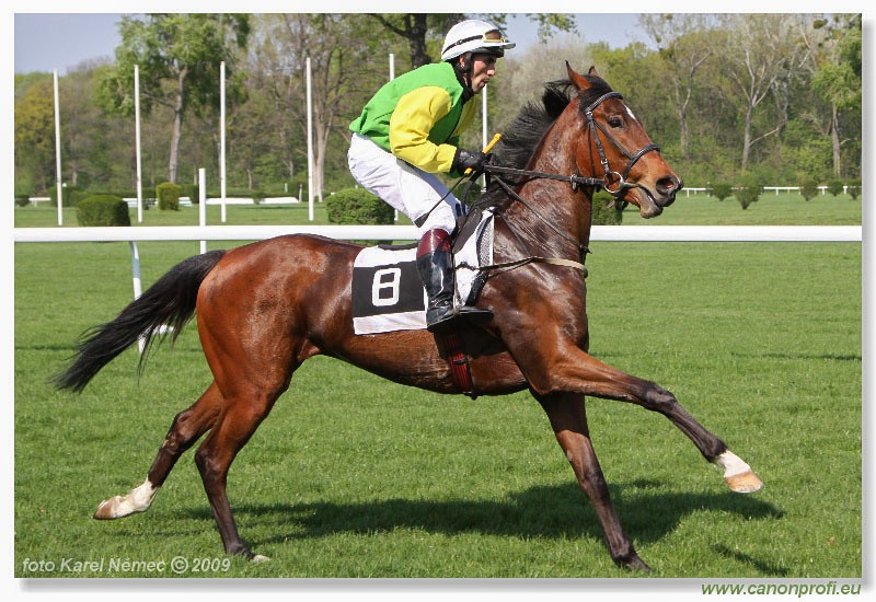 Bratislava - 12. aprla 2009 