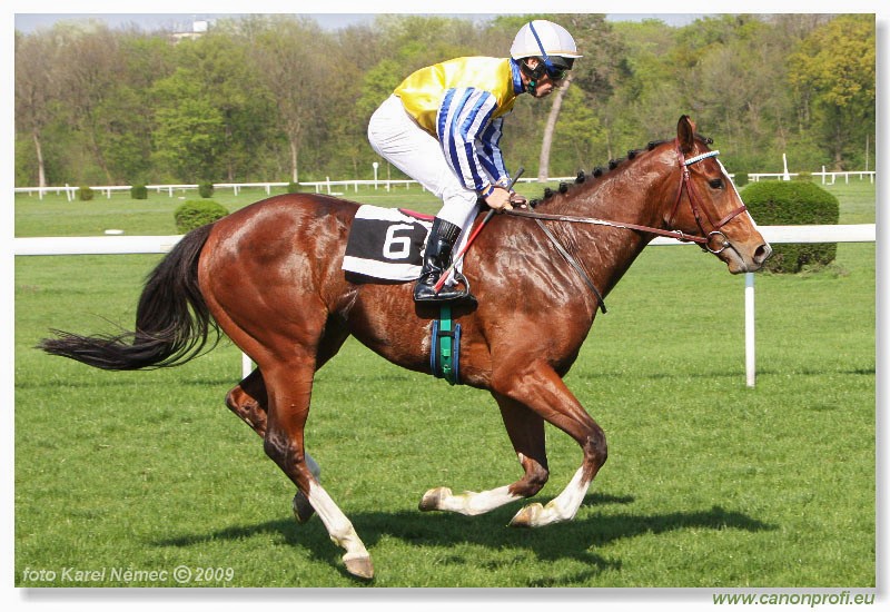 Bratislava - 12. aprla 2009 