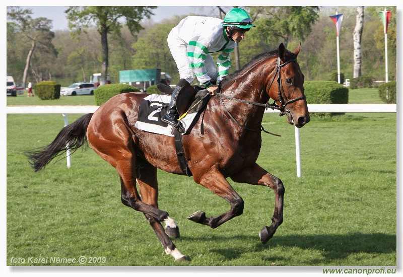 Bratislava - 12. aprla 2009 