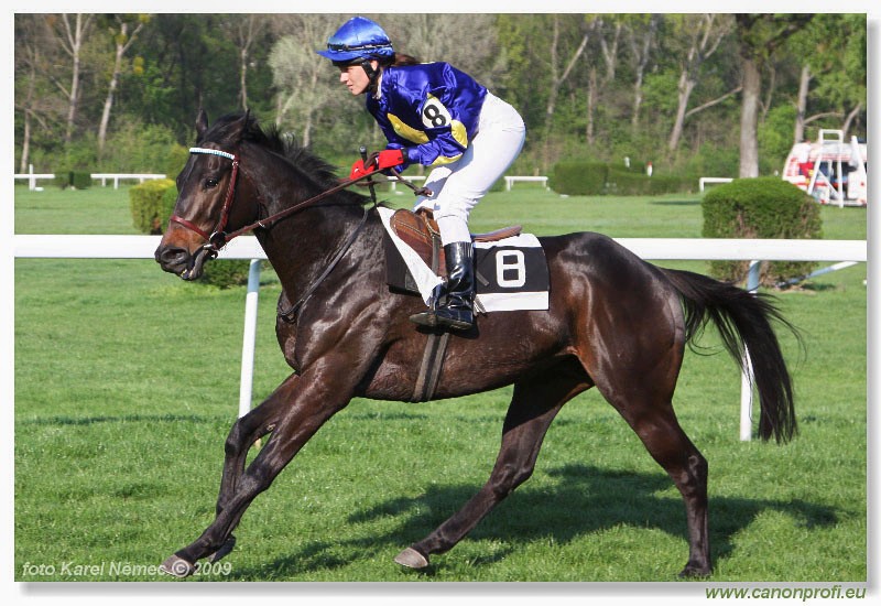 Bratislava - 12. aprla 2009 