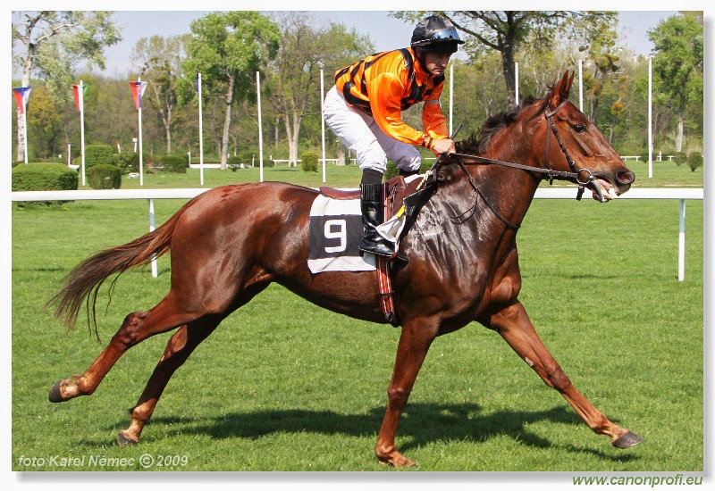 Bratislava - 12. aprla 2009 