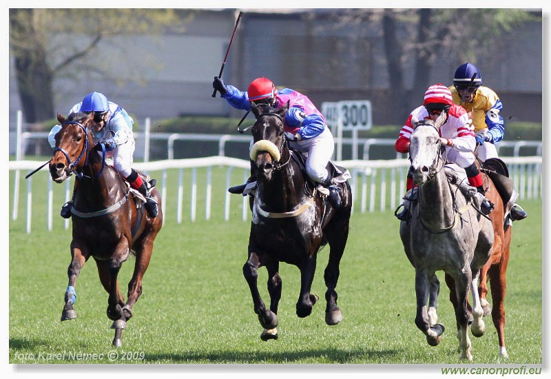 Bratislava - 12. aprla 2009 
