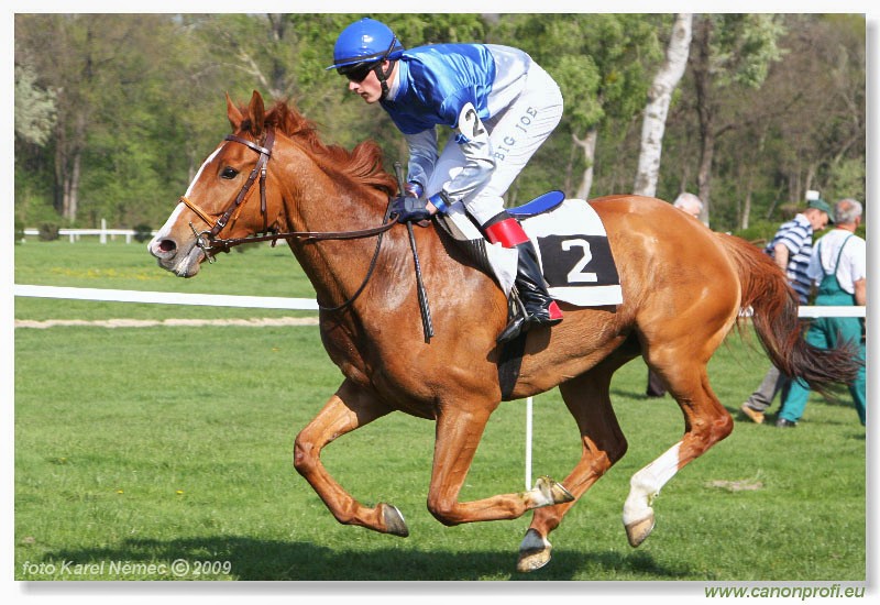 Bratislava - 12. aprla 2009 