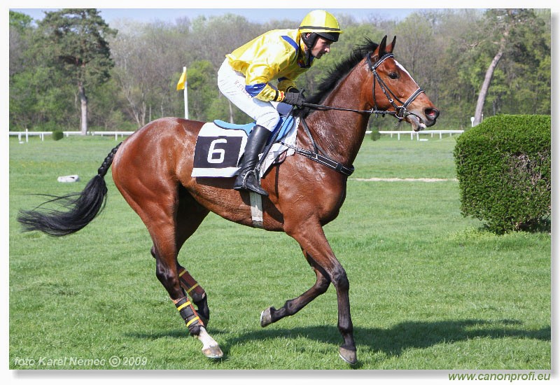 Bratislava - 12. aprla 2009 