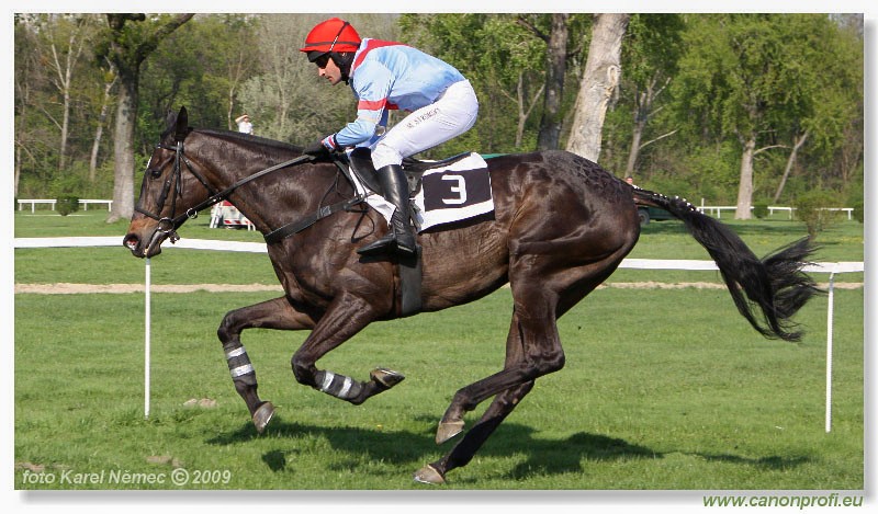 Bratislava - 12. aprla 2009 