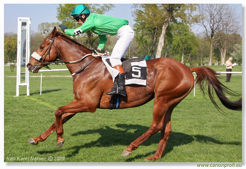 Bratislava - 12. aprla 2009 