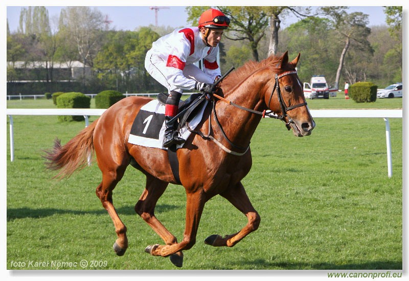 Bratislava - 12. aprla 2009 