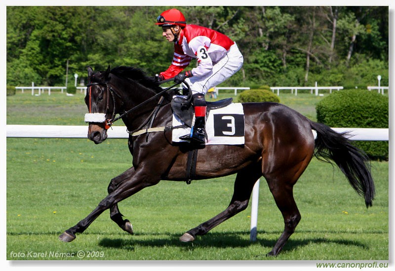 Bratislava - 19. aprla 2009 