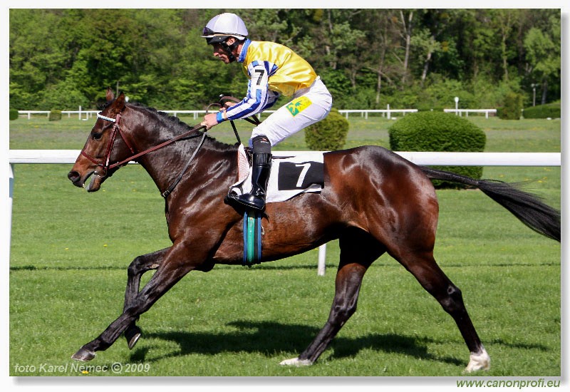 Bratislava - 19. aprla 2009 