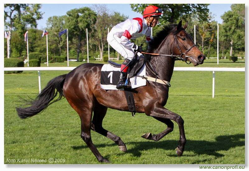 Bratislava - 19. aprla 2009 