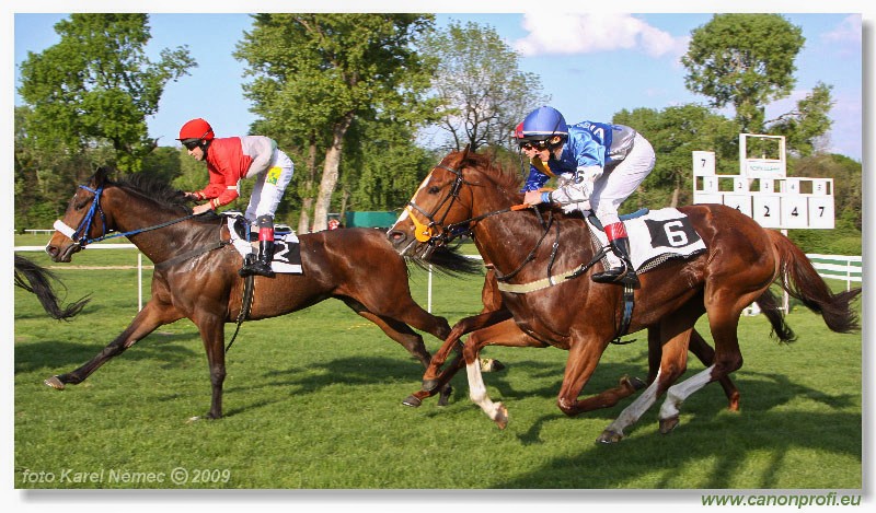 Bratislava - 19. aprla 2009 