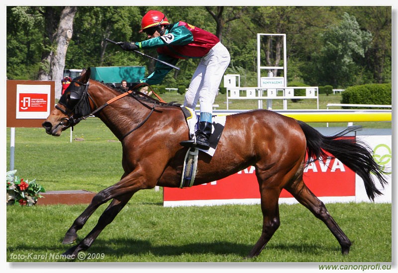 Bratislava - 26. aprla 2009 