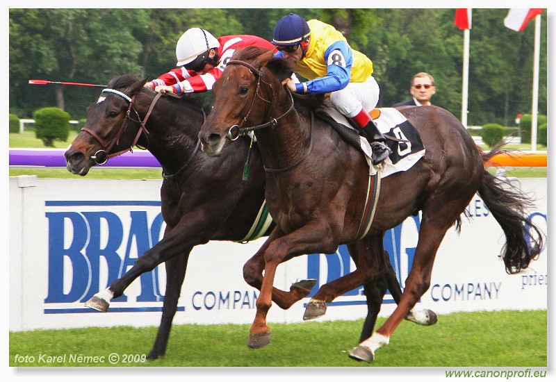 Bratislava - 26. aprla 2009 
