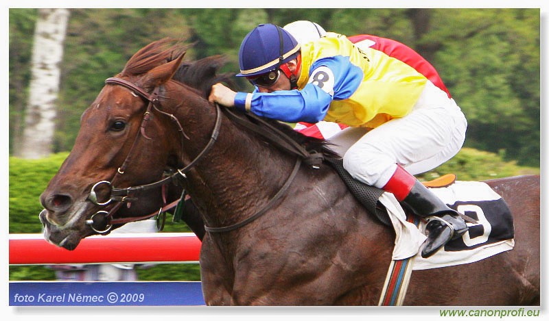 Bratislava - 26. aprla 2009 