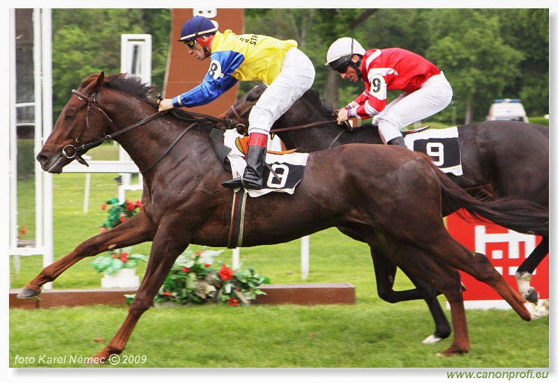 Bratislava - 26. aprla 2009 