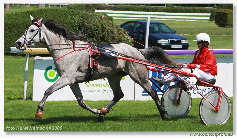Bratislava - 17. mja 2009 
