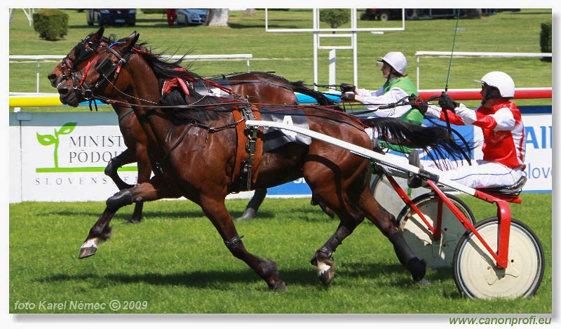 Bratislava - 17. mja 2009 