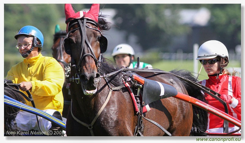 Bratislava - 17. mja 2009 