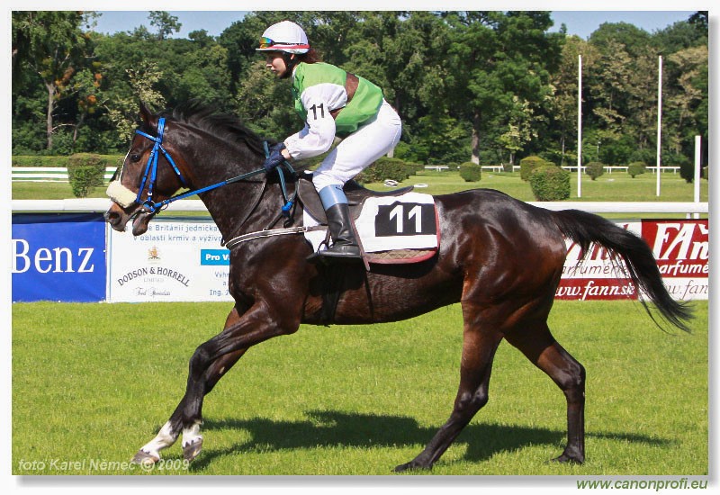 Bratislava - 17. mja 2009 