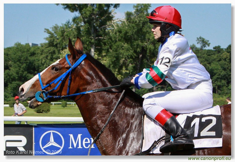 Bratislava - 17. mja 2009 