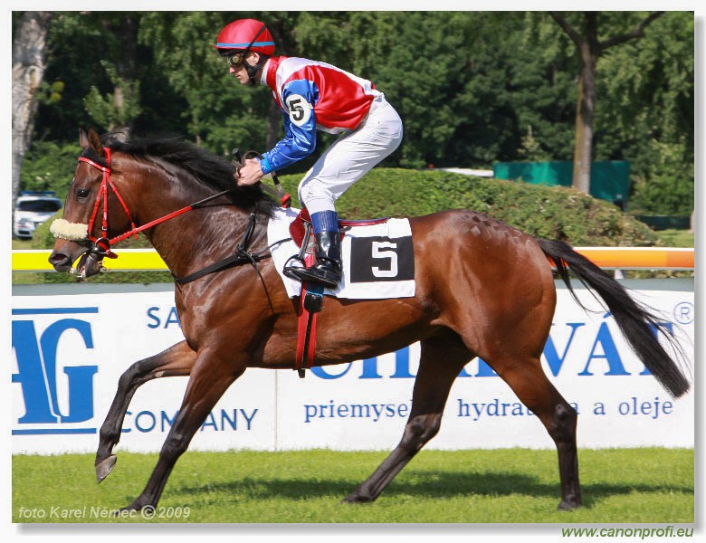 Bratislava - 17. mja 2009 