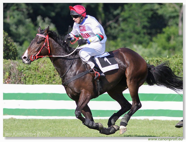 Bratislava - 24. mja 2009 
