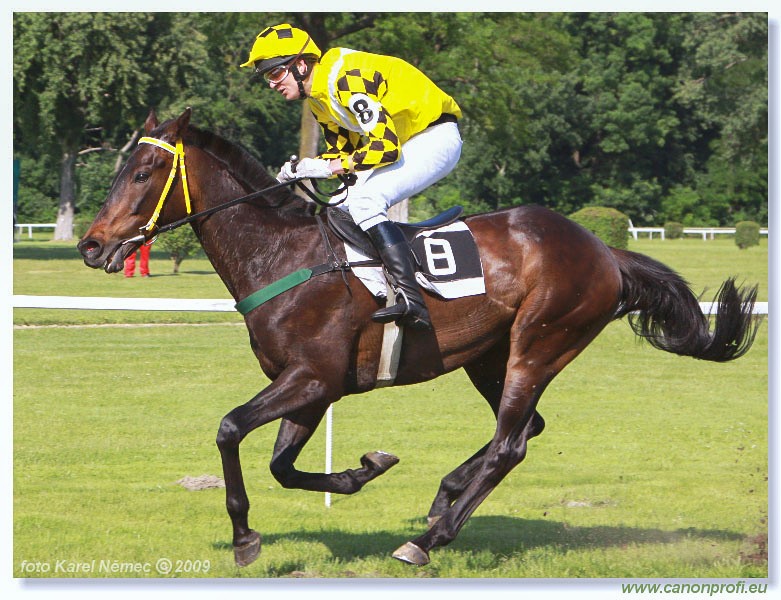 Bratislava - 24. mja 2009 
