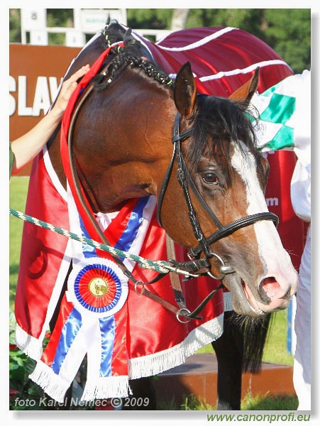 Bratislava - 24. mja 2009 