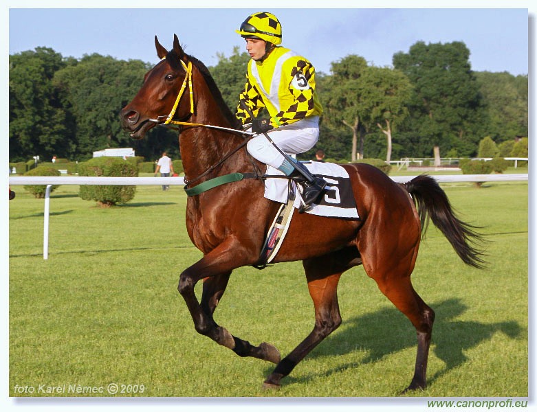 Bratislava - 24. mja 2009 