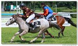 pony I 