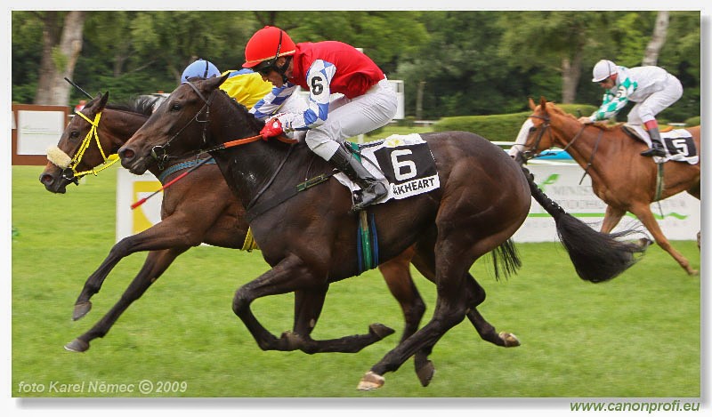 Bratislava - 07. jna 2009 