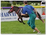 pony I a II 