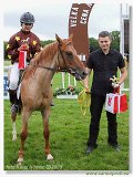 pony I a II 