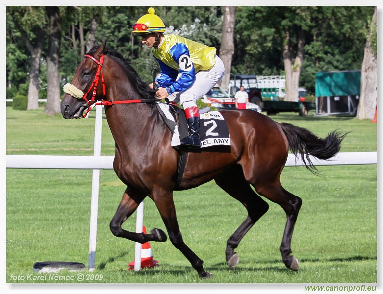 Bratislava - 19. jla 2009 
