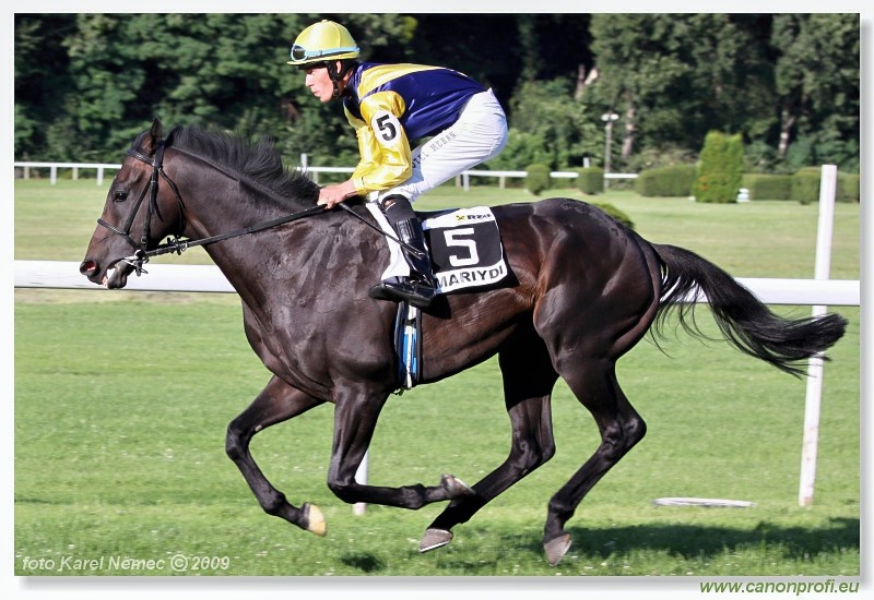 Bratislava - 19. jla 2009 