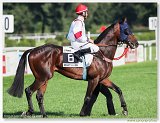 17. Slovensk derby 