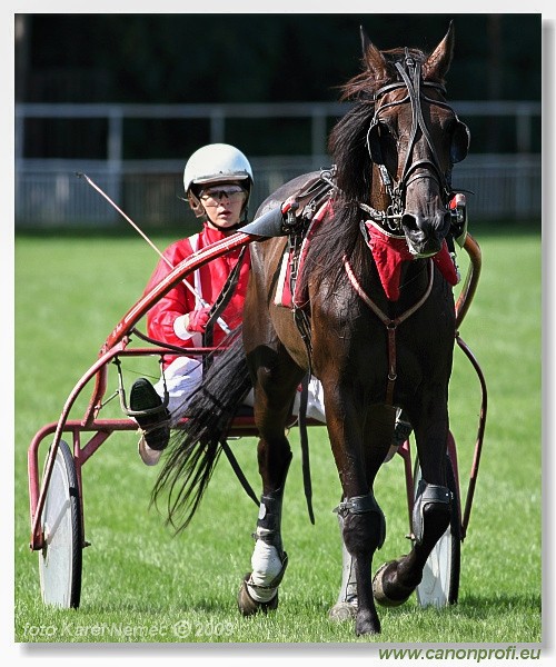 Bratislava - 30. augusta 2009 