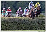Vek starohjska steeplechase 