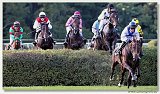 Vek starohjska steeplechase 