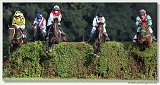 Vek starohjska steeplechase 
