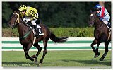 Vek starohjska steeplechase 