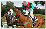 Vek starohjska steeplechase 
