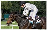 Vek starohjska steeplechase 