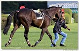 Vek starohjska steeplechase 