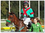 Vek starohjska steeplechase 
